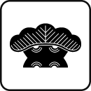 松紋:マツ